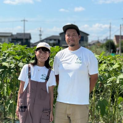 ふるさと納税 江南市 【Hello!農園直送】秋のおまかせ野菜セット(5〜7品) 栽培期間中農薬・化学肥料不使用 |  | 01