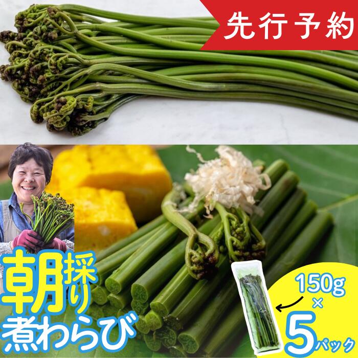 【ふるさと納税】やまに農産【西わらび】朝採り「煮わらび」150g × 5パック（限定10セット）　西和賀町　にしわが　ワラビ　蕨 わらび