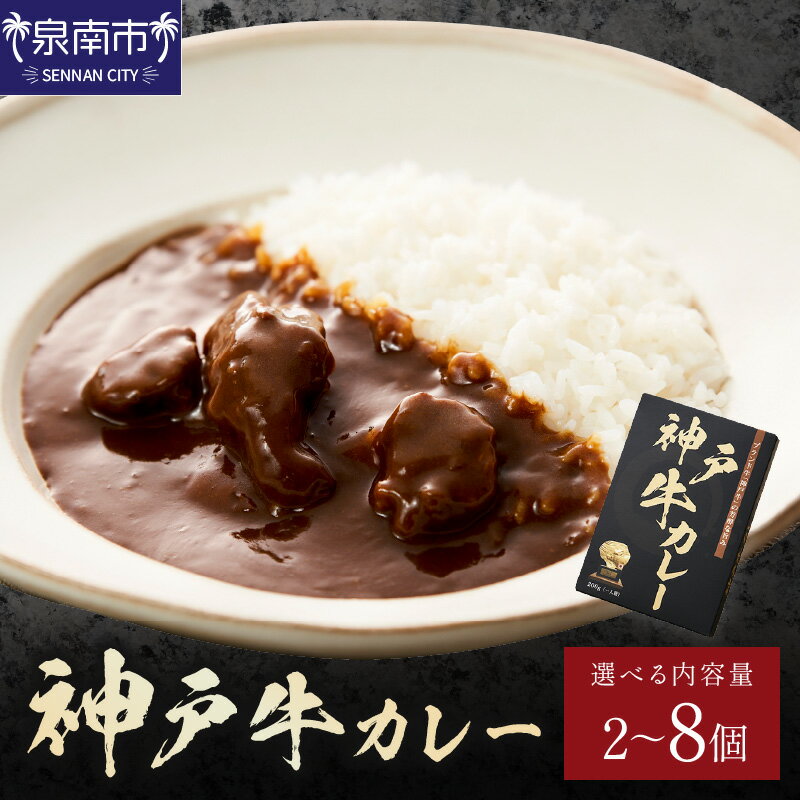 【ふるさと納税】選べる内容量！神戸牛カレー 200g 2個 4個 6個 8個