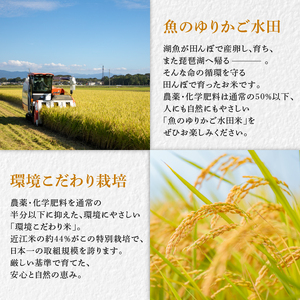 【令和7年産】減農薬米 近江米 きらみずき 白米 5kg ［shiba08] 白米