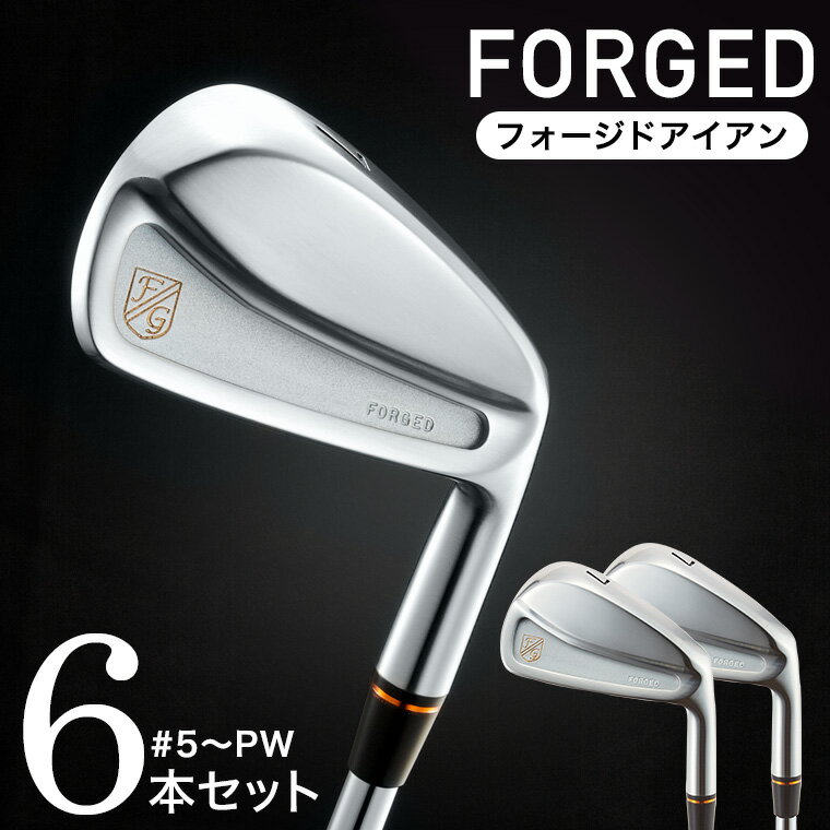 【ふるさと納税】HIA-02-04 キャビティ アイアン セット（6本セット）#5〜PW / 選べるシャフト 軟鉄鍛造 フォージド・アイアン 国産 ゴルフクラブ ゴルフ用品 480BE04N-580BE02N.