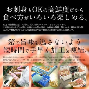【12月発送】 カット済み生ずわい蟹 約1.2kg （400g × 3箱） 【お手軽 生食可 蟹 カニ かに 冷凍 ずわいがに ズワイガニ】 [e70-b002_12]