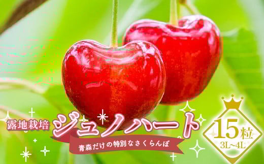 
            ≪数量限定≫ 露地栽培 青森だけの特別なさくらんぼ 「ジュノハート」 15粒（3L～4L）【留長果樹園】 期間限定 初夏のルビー 贈答 フルーツ王国 南部町 国産 サクランボ チェリー 青森 青森の宝物 F21U-401
          