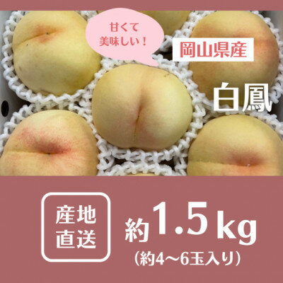 【ふるさと納税】【2026年先行予約】2026年7月中旬頃より発送予定・岡山の白桃・白鳳(1.5kg箱)【配送不可地域：離島】【1578640】
