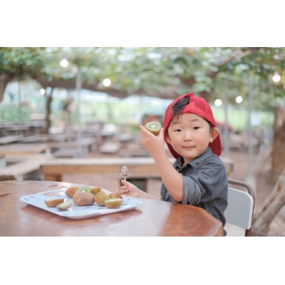 農園直送!訳アリキウイフルーツ2kg～2.4kg(24個～30個)【配送不可地域：離島・北海道・沖縄県・四国・九州】