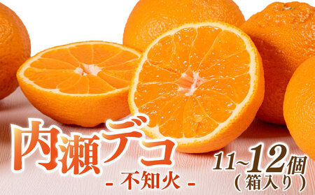 【不知火】11～12個 アサヒ農園 不知火