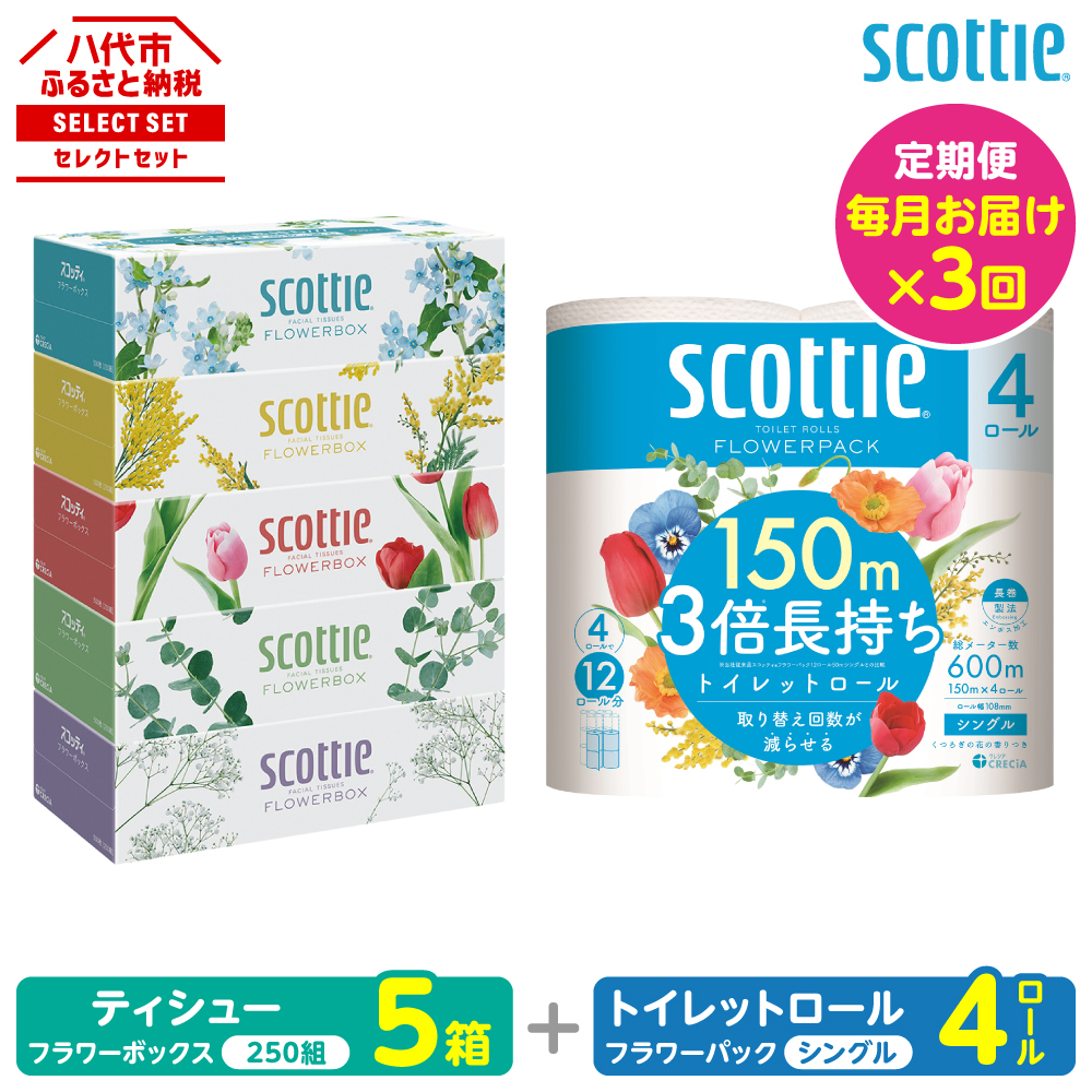 【定期便3回】【毎月お届け】【スコッティ】 組み合わせ ティシュー フラワーボックス 250組 5箱 計15箱 トイレットロール シングル フラワーパック 3倍長持ち 4ロール 計12ロール 八代市