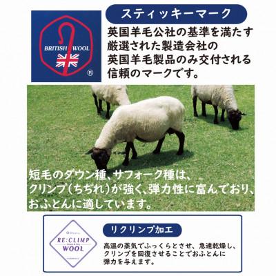 ふるさと納税 泉大津市 綿100%生地使用　英国羊毛100%わた入敷パッド　シングル　ブルー　K042203W20SB |  | 02