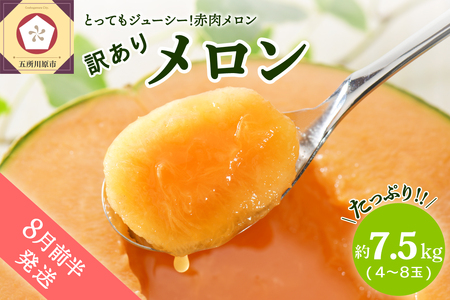 【2026年8月前半発送】【訳あり】 メロン 7.5kg程度(赤肉4～8玉) 青森県産