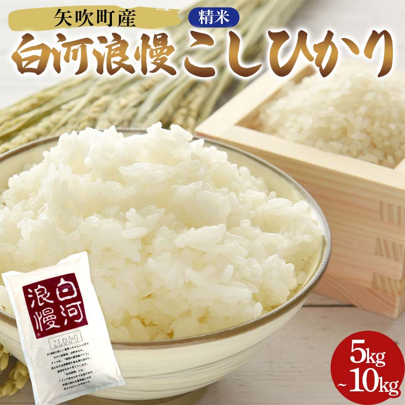 【ふるさと納税】 《選べる容量》 令和6年産米 矢吹町産 白河浪慢 こしひかり 5kg（2.5kg×2袋）/10kg（2.5kg×4袋） 精米 F6U-204var