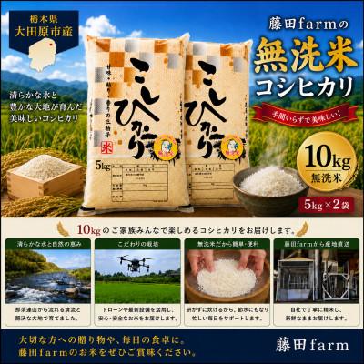 ふるさと納税 大田原市 【令和8年産 新米 先行受付】大田原市産コシヒカリ 無洗米 10kg(5kg×2)【藤田farm】