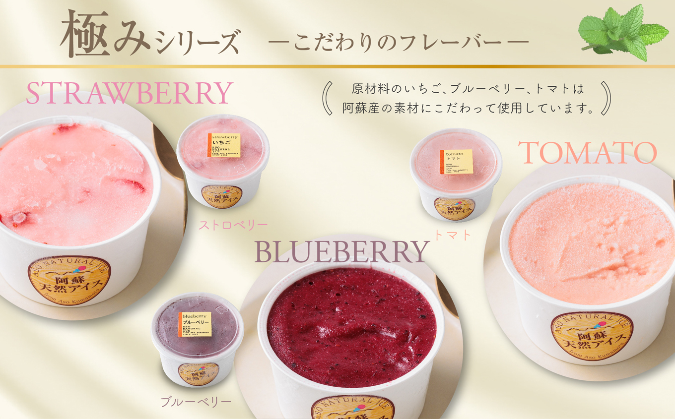 阿蘇天然アイス 極みシリーズ 6個 セット ジェラート グランプリ 受賞 詰め合わせ 食べ比べ バラエティ 素材 こだわり 人気 涼しい 冷たい 冷凍 さっぱり 美味しい 贅沢 果物 フルーツ おやつ