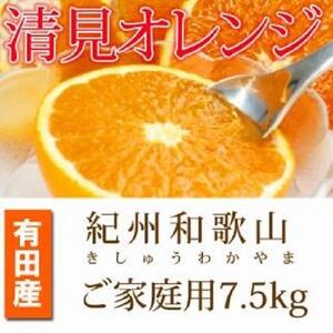 【魚鶴商店厳選】和歌山人気の柑橘ご家庭用・訳あり定期便（みかん・不知火・清見オレンジ）【定期便全3回】