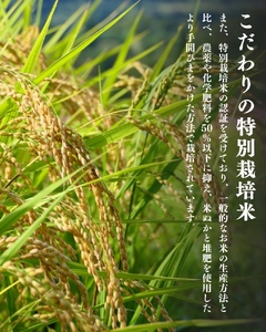 【令和6年産新米】 平泉町産 特別栽培米ひとめぼれ 5kg 農薬50%削減 体に優しい 棚田のお米 【米 お米 ひとめぼれ 平泉 米 白米 こめ 岩手 東北 日本農業遺産】米 米 米 米 米 米 米 