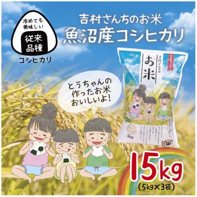 ふるさと納税 十日町市 令和7年産 新米 |従来品種| 魚沼産 コシヒカリ 精米 5kg×3袋 計15kg 吉村さんちのお米