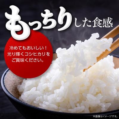 ふるさと納税 那珂市 《 令和7年産 》 コシヒカリ 精米 5kg (茨城県共通返礼品 かすみがうら市) |  | 01