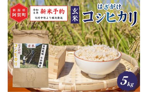《令和8年産　新米予約》玄米 5kg 新潟県阿賀町産 コシヒカリ はざかけ 天日干し 令和8年産 玄米 5キロ 新潟県産コシヒカリ 新潟県産こしひかり 新潟県産 コシヒカリ こしひかり ごはん ご飯 新潟県 阿賀町