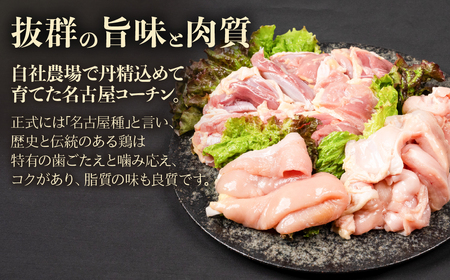名古屋コーチン 極上 鶏 鍋セット 3人前 国産 地鶏 もも むね きしめん つくね 鶏肉 鳥肉 ブランド鶏 地鶏 ブランド地鶏