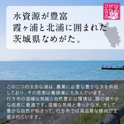 ふるさと納税 行方市 美明豚「びめいとん」のジューシー焼売 20個×2袋 |  | 03