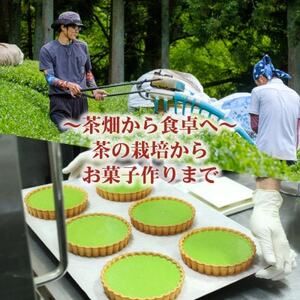 和束産自家栽培茶の濃厚抹茶＆ほうじ茶チーズケーキ食べ比べセット《ギフト好適》【配送不可地域：離島】【1295909】
