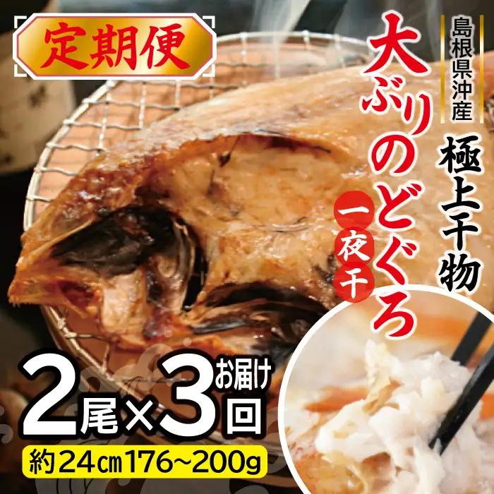 【定期便】島根県沖！大ぶり「のどぐろ一夜干」定期便（３回お届け）【大ぶり のどぐろ一夜干 2尾×3回 国産 島根県産 大田市 高級魚 ノドグロ アカムツ 白身魚 トロ 無添加 冷凍 真空 特産品 お取