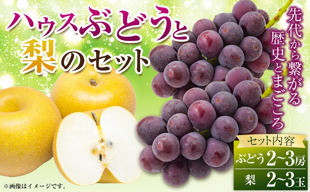 
                  【先行予約】種あり ハウスぶどう （2～3房） 梨 （2～3玉） セット 【2026年8月下旬より順次発送予定】 【春光園】 有機配合肥料使用 ぶどう ブドウ 葡萄 梨 なし 豊水梨 秋月梨 果物 フルーツ 詰め合わせ 福岡県 うきは市 冷蔵
                