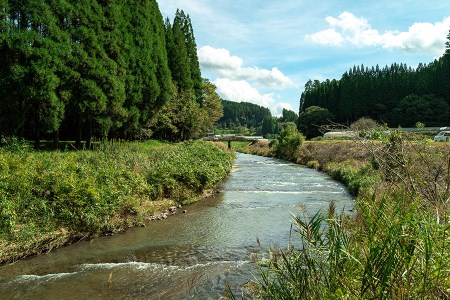 【田代農園】令和7年産 精米 10kg 田代さんのお米 銘柄おまかせ あきげしき ひのひかり こしひかり 産直 ノンブレンド米 単一原料 お米 白米 精白米 ヒノヒカリ コシヒカリ 熊本 阿蘇 小国町