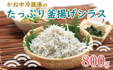 しらす 釜揚げ 800g 国産 しらす