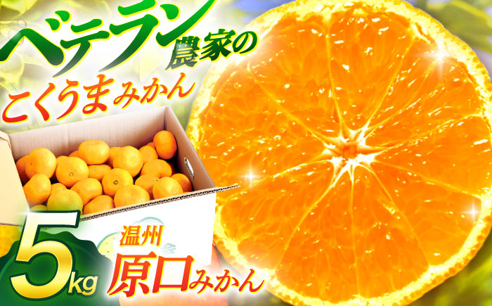 【数量限定】温州高糖度 原口みかん 約5kg【長崎ぶんたんの会】[OAF004] / ミカン 柑橘 果物 フルーツ みかん 原口みかん 人気みかん 高糖度みかん ミカン 柑橘類 長崎県産柑橘 産地直送 温州みかん