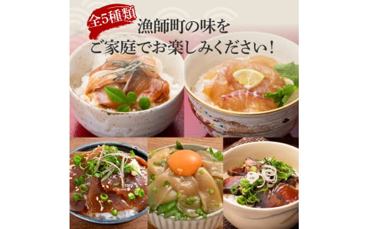 【12回定期便】訳あり土佐の海鮮漬け丼（5種×各4袋）セット 漬け丼の素 タイ 鯛 ブリ 鰤 マグロ 鮪 イカ カツオ 鰹 たたき 新鮮 魚 おかず おつまみ 惣菜 小分け【企業組合　宇佐もん工房】 