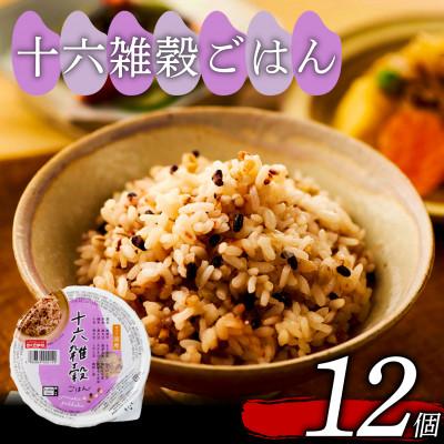 ふるさと納税 松原市 ご飯パック 十六雑穀ごはん 160g×12個