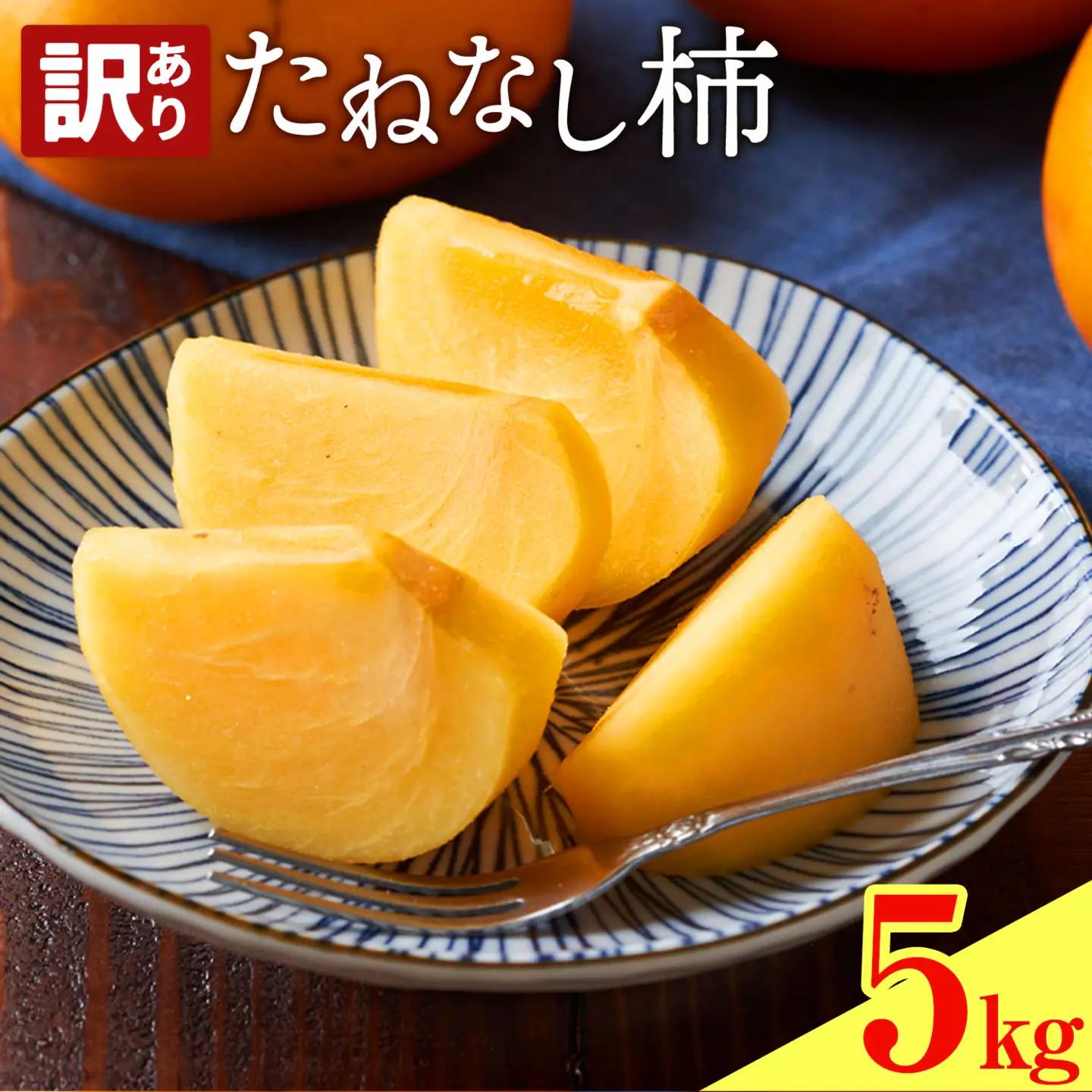 たねなし柿 訳あり 5kg 農業福祉研究機構《9月上旬-11月上旬頃出荷》