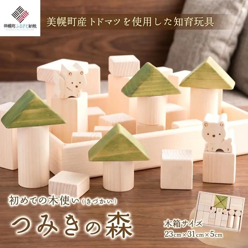 初めての木使(きづか)い「つみきの森」 AF090 | つみき