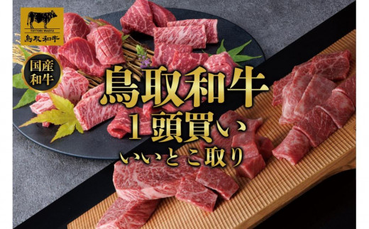 鳥取和牛1頭買い いいとこ取り 12か月定期便  TB4【牛肉 肉 焼肉 焼き肉 やきにく サーロイン 肩ロース ヒレ ウデ モモ カルビ 赤身 タレ たれ 最高級 ブランド牛 ギフト 贈り物 プレゼント 12回 1年分 人気 おすすめ 鳥取県 琴浦町 送料無料】
