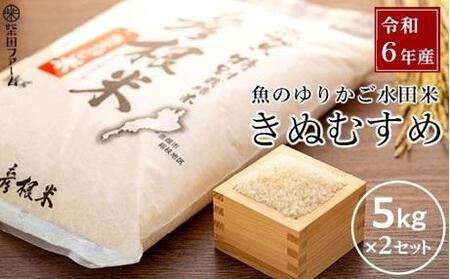 数量限定 令和6年産 新米【3ヵ月定期便】滋賀県認証！魚のゆりかご水田米「きぬむすめ」白米 5kg×2セット【柴田ファーム】