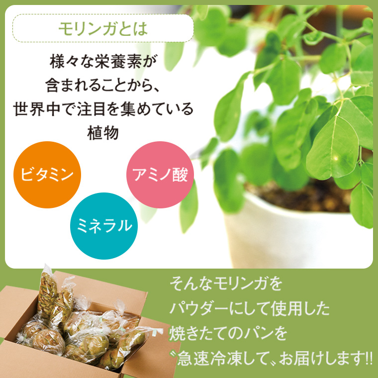 【P65001】大隅産モリンガパンハーフセット_イメージ4