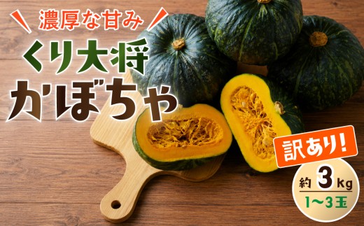 訳あり かぼちゃ くり大将 《訳あり/正規品・容量が選べる！》訳あり 茨城県産 くり大将  約3kg (1玉〜3玉) / 約5kg (2玉〜3玉) / 約10kg (5玉〜6玉) 【茨城県 下妻市産 かぼちゃ カボチャ 南瓜 くり大将 くりたいしょう 採れたて 旬野菜 季節の野菜 甘い おすすめ】