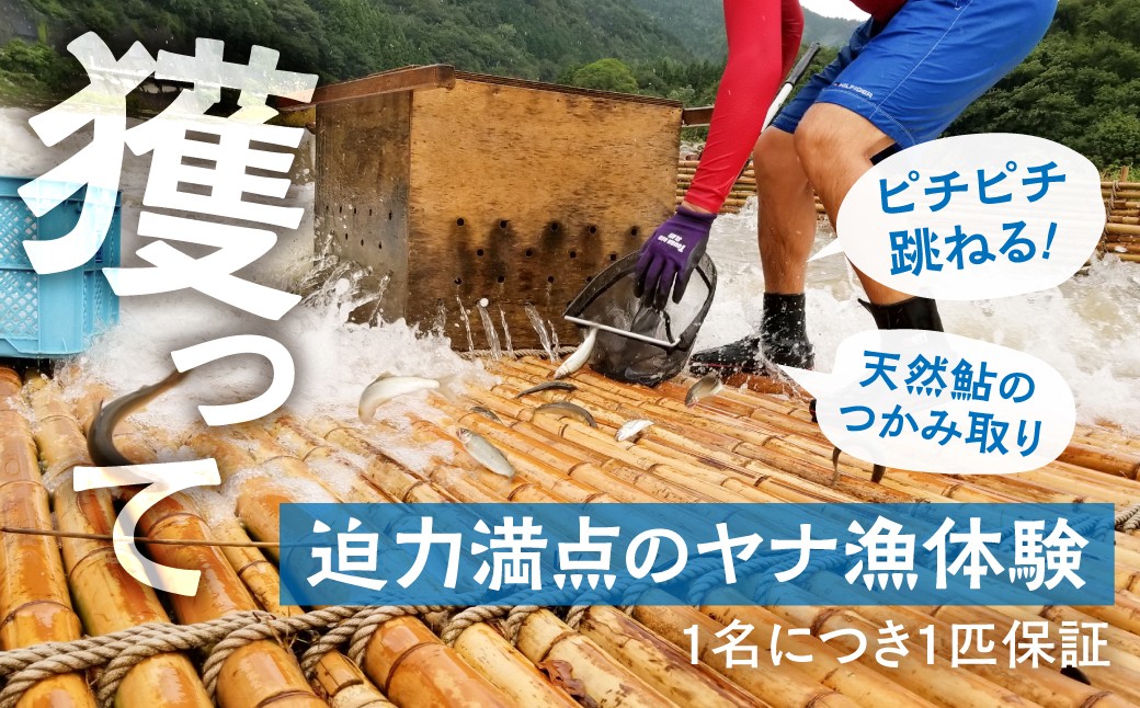 【あゆ塾で朝活】ヤナ場独占つかみ取り体験＆極上鮎ランチ（食事券付）