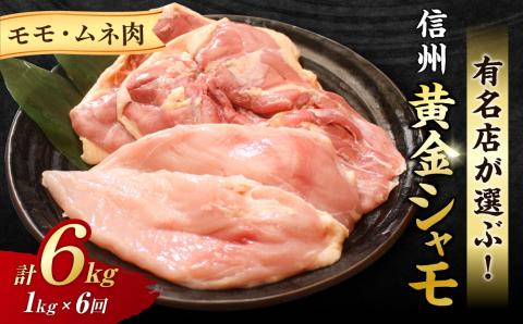 【6回定期便 】信州黄金シャモモモ・ムネ肉セット