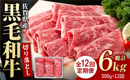 【12回定期便】佐賀県産 黒毛和牛 切り落とし 500g  / 牛肉切り落とし [IAG064]