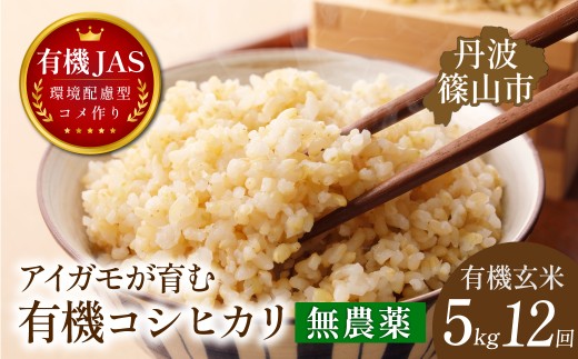 〈定期便 令和８年産早期予約〉5kg×12回 有機JAS認証 アイガモが育む コシヒカリ 玄米 計60kg｜兵庫県 丹波篠山市産 げんまい 白米 米 コメ こめ こしひかり 有機栽培 農家直送