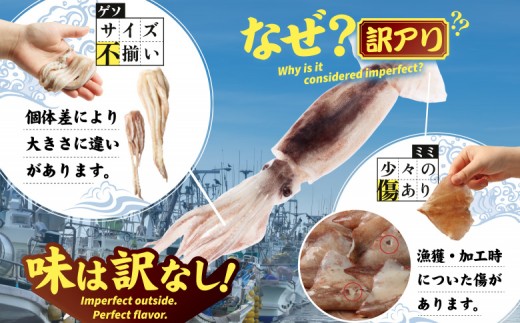 イカゲソとイカミミ　隔月6ヶ月定期便
