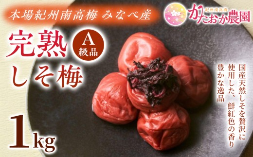 梅干し 完熟しそ梅 塩分約18％ 1kg 本場紀州南高梅｜梅干し 梅干 梅 うめぼし しそ 紀州南高梅 しそ梅 A級品 無添加 無着色 自家栽培 みなべ産 贈答用 【ktok002A】