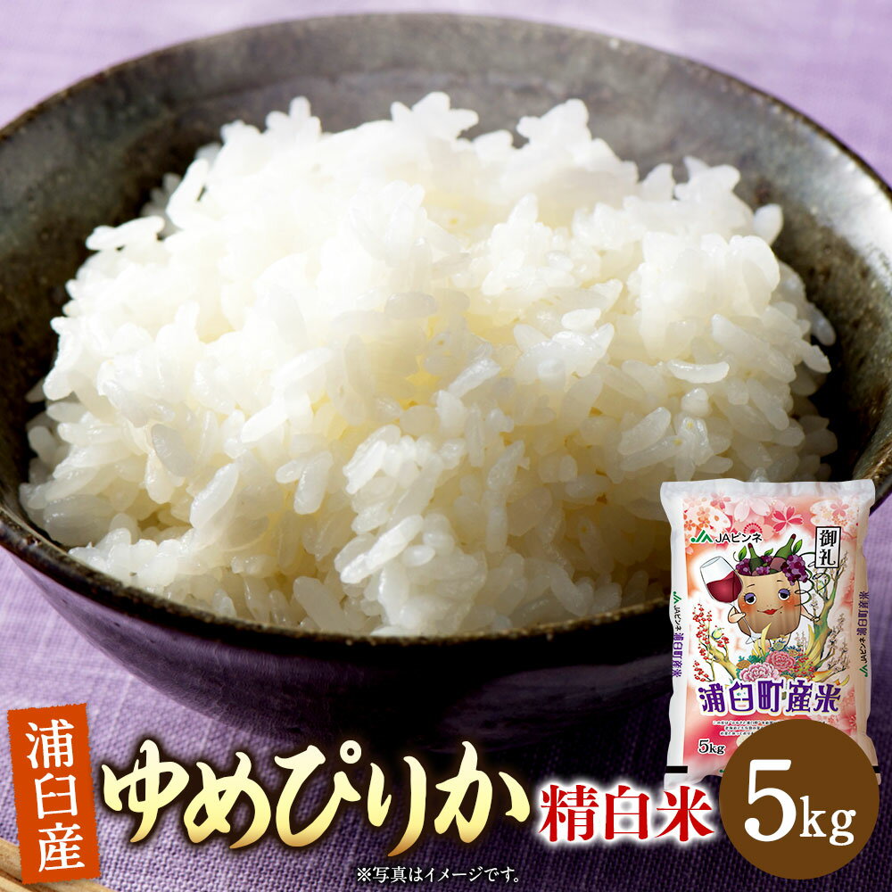 【ふるさと納税】〈令和7年産〉浦臼産 ゆめぴりか 精白米 5kg×1袋 【2026年1月下旬-8月下旬迄順次発送予定】 【全国どこでもお届け！】 米 お米 おこめ こめ 白米 北海道 浦臼町 送料無料