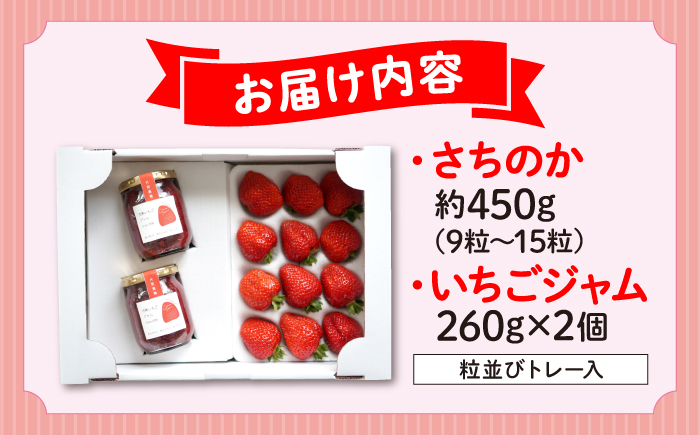 【1月5日以降順次発送】大前農園の完熟いちご＆完熟いちごジャムセット いちご イチゴ ジャム 三次市/大前農園 [APAS002]