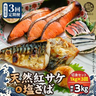 ふるさと納税 湯浅町 【毎月定期便】【ご家庭用訳あり】人気の塩さばフィレ&amp;紅鮭切身セット計1kg全3回