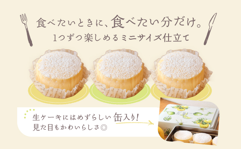 【INFINI】チーズケーキKANKAN【濃厚 チーズケーキ テリーヌ 柑橘 デザート 冷凍 スイーツ ギフト 贈り物 プレゼント 人気 おやつ ご褒美 絶品 】