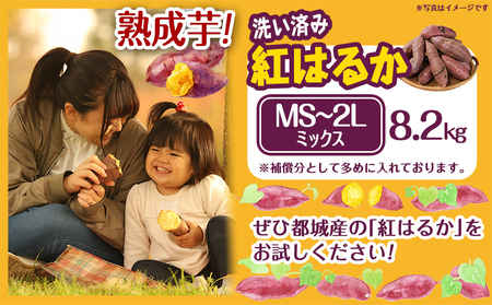 【熟成芋】芋名人が認めるさつまいも『洗い済み　紅はるか』MS～2Lミックス ※12月～1月頃順次発送_LF-L702-J_(都城市) 宮崎県都城産 紅はるか MS～2Lミックス 約8.2kg
