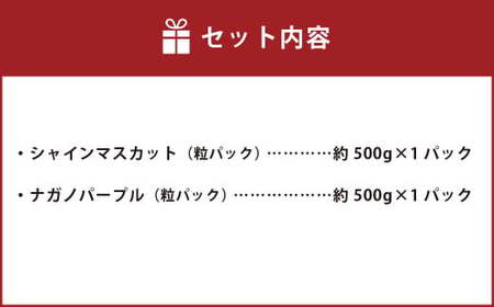 【2025年度分先行予約】【数量限定】粒パック 訳あり シャインマスカット（約500g）&amp;ナガノパープル（約500g） 計約1kg （各1パック）【2025年9月下旬-11月上旬発送開始予定】