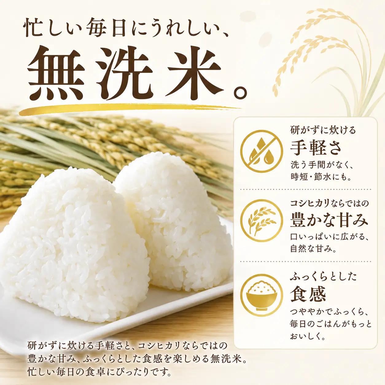 ＼まもなく発送開始／ 無洗米 令和8年度産 コシヒカリ 10kg [A-mry006]